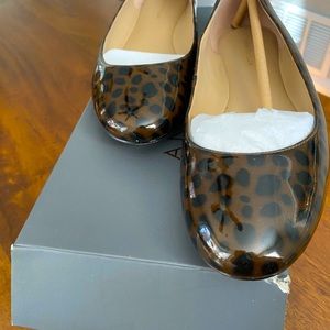 Ann Taylor Flats